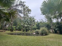 -中国科学院西双版纳热带植物园