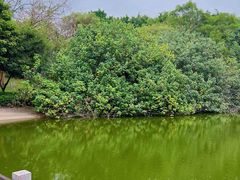 -深圳国际园林花卉博览园