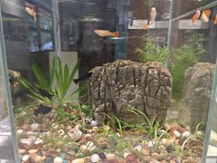 -湖北中医药大学(昙华林校区)