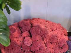 -丽泽山庄·生态怀柔菜·虹鳟鱼(红螺寺店)