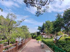-古榕公园