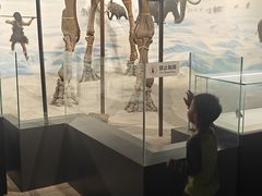 -辽宁古生物博物馆
