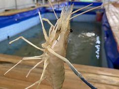 -小象钓虾·营地烧烤(洛溪店)