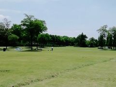 -宜兴龙背山森林公园