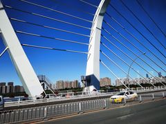 -长白岛森林公园