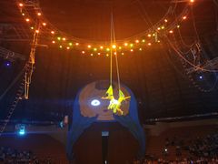 -俄罗斯国家大马戏团