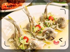 -有腥气私房菜·寻味顺德