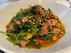 香菜炒牛肉-壹盏灯(蚂蚁工房店)