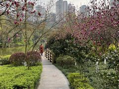-龙头寺公园