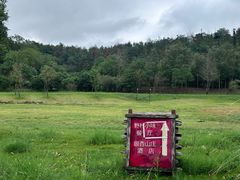 -黄陂区野村谷景区