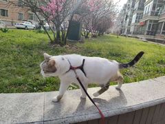 -哈尔滨师范大学(松北校区)