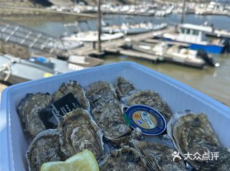 法国海岸线上的各种小镇的海鲜太新鲜了，生蚝