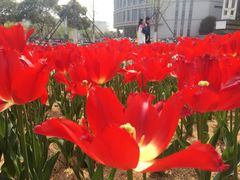 -公益图书馆(江南大学店)