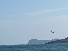 -海驴岛(荣成市)
