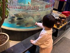 -魏铭鱼头捞饭(嘉善店)