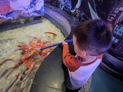 -烟台海昌鲸鲨海洋公园