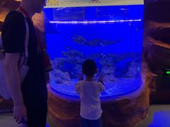 -芜湖新华联大白鲸海洋公园