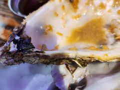 -蚝堡海鲜·威海菜·海肠捞饭·烧烤·亚洲吃蚝公司(幸福门店)