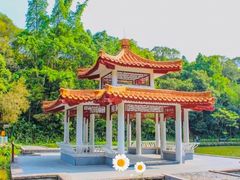 -深圳仙湖植物园