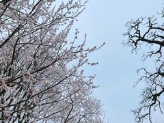 -北京明城墙遗址公园