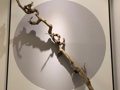 -享月汤皇(江油店)