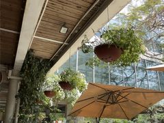 -缘生态云南菜·野生菌庭院餐厅(华侨城店)