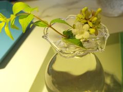 -茶是一枝花泡茶店