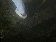 -JW万豪厨房餐厅·滨海草坪烧烤·海鲜·海景(三亚绿发山海天JW万豪酒店)