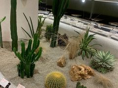 -OUR Bakery(SKP-S店)