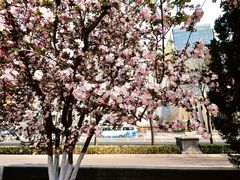 -海棠花溪(元大都城垣遗址公园)