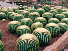 -南通洲际绿博园