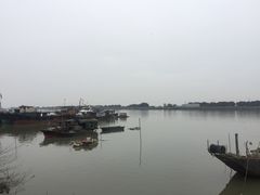 -大湾区中央湿地公园-十九涌