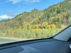 -塞罕坝国家级自然保护区