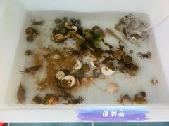 -东戴河风景区-止锚湾