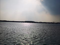 -丁香湖公园