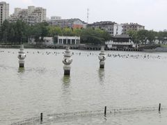 -葛仙湖公园