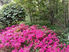 -燕儿岛山公园