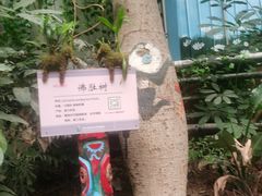 -呀路古热带植物园
