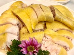 -喜聚薈·花膠雞海鮮火鍋(越秀店)