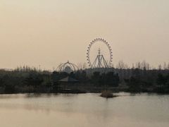 -日照海滨国家森林公园