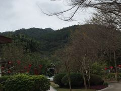 -碧水湾温泉