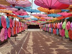 -绵阳盛世樱花悠乐谷