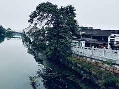 -乌镇东栅景区