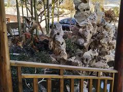 -呼吸森林·生态农庄农家乐私房菜