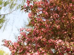 -元大都城垣遗址公园