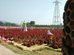 景点-盈香心动乐园