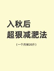 -Fundi张玉珊修身堂·indiba·BTL科技瘦身