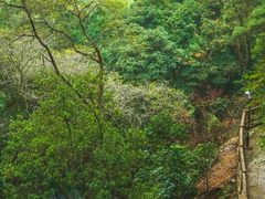 -潮州西湖
