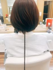 中发-THE LOG SALON 记录