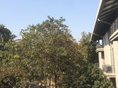 -绍兴鉴湖君澜大酒店